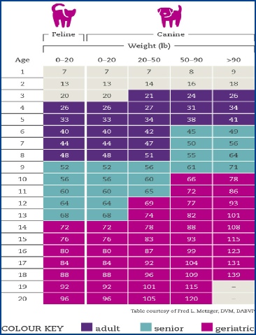 Pet's age to human comparison chart. Pet's age to human comparison chart.