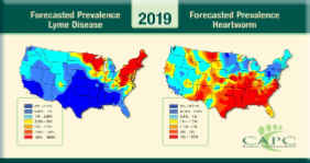 Higher heartworm infection rates predicted in our area for 2019!