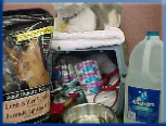 Campbell Village Veterinary Clinic highly recommends including your pet in your emergency preparedness plans. Campbell Village Veterinary Clinic highly recommends including your pet in your emergency preparedness plans.