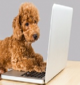 Campbell Village Veterinary Clinic suggests having pet insurance to help reduce your medical cost. Campbell Village Veterinary Clinic suggests having pet insurance to help reduce your medical cost.