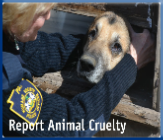 Campbell Village Veterinary Clinic is proud to recognize agencies that play an active part in the welfare of pets.