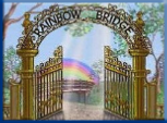 Campbell Village Veterinary Clinic strives to help lessen the pain of your pet's passing over the "Rainbow Bridge".