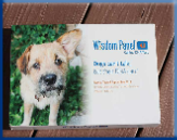 Campbell Village Veterinary Clinic wants you aware of canine DNA opportunities.