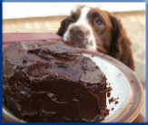 Campbell Village Veterinary Clinic warns against letting your dog eat chocolate. Campbell Village Veterinary Clinic warns against letting your dog eat chocolate.