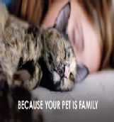 Campbell Village Veterinary Clinic suggests having pet insurance to help reduce your medical cost. Campbell Village Veterinary Clinic suggests having pet insurance to help reduce your medical cost.