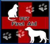 Campbell Village Veterinary Clinic highly recommends preparing a first aid kit to keep on hand for your pet.