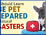 Campbell Village Veterinary Clinic highly recommends including your pet in your emergency preparedness plans. Campbell Village Veterinary Clinic highly recommends including your pet in your emergency preparedness plans.
