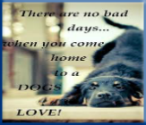 Campbell Village Veterinary Clinic provides resources to help you learn more about each breed of dog.