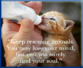 Campbell Village Veterinary Clinic is proud to recognize agencies that play an active part in the welfare of pets.