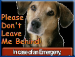 Campbell Village Veterinary Clinic highly recommends including your pet in your emergency preparedness plans. Campbell Village Veterinary Clinic highly recommends including your pet in your emergency preparedness plans.