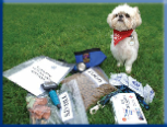 Campbell Village Veterinary Clinic highly recommends including your pet in your emergency preparedness plans. Campbell Village Veterinary Clinic highly recommends including your pet in your emergency preparedness plans.
