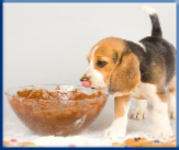 Campbell Village Veterinary Clinic warns against letting your dog eat chocolate. Campbell Village Veterinary Clinic warns against letting your dog eat chocolate.
