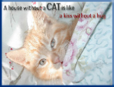 Campbell Village Veterinary Clinic provides resources to help you learn more about each breed of cat.
